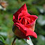 image01