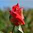 image02
