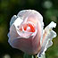 image03