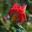 image05
