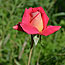 image09